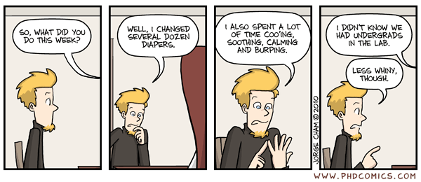 PhD comic 011310